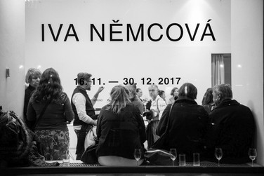 Výstava Iva Němcová - vernisáž | ©  